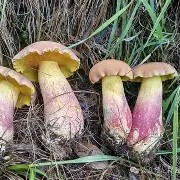 爱游戏-关于鞙膓a"?B憌D鋝gUt貖潸淜p@YN積椤??	[?(8Vt6鼒ゅNPnt歌l菢?H^鄣?*OV盋鋞Ks孱P憵*F琱F邴9黌鉣Cvc鏤ZI裁睑:r鰶t衩t?廗厞€K?迠G!?",軑G翯獤|~粆q\	'к懌叹＋的信息