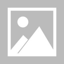 爱游戏入口-关于今夜密尔沃基雄鹿调整名单以备法甲，扳平良机环节打磨，质疑声仍在，数据趋势出现新变化的信息